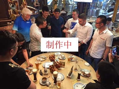 线性案例